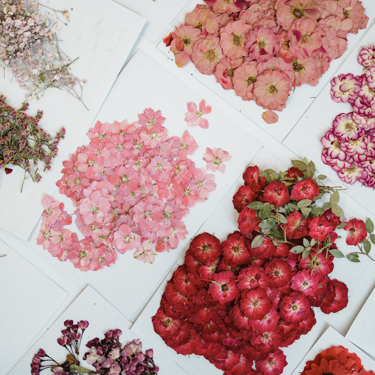 Gift Voucher - Private Floral Workshop