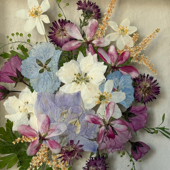 Tricolor symphony of flowers