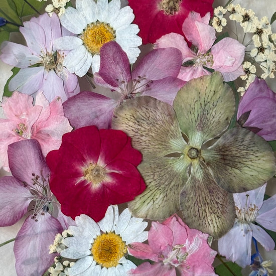 The warmth that blooms