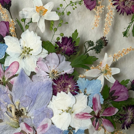 Tricolor symphony of flowers