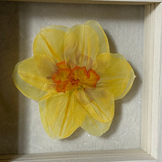 In the flower of tenderness