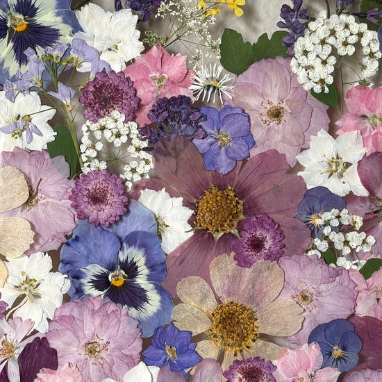 Magical flowers