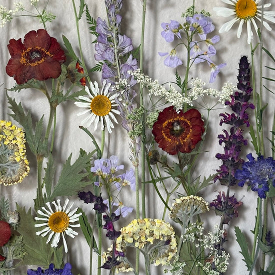 Magical flowers
