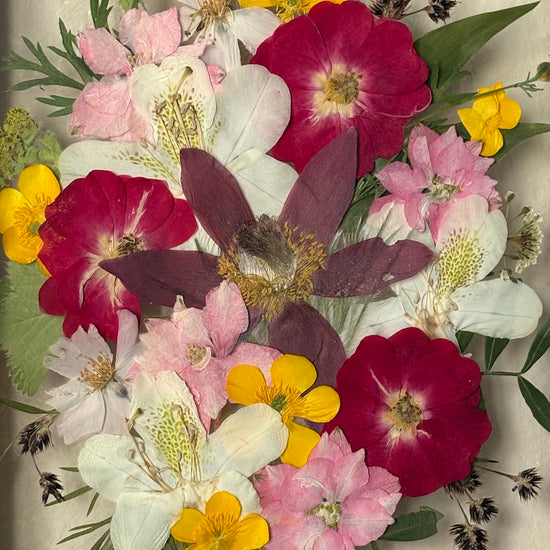 The warmth that blooms