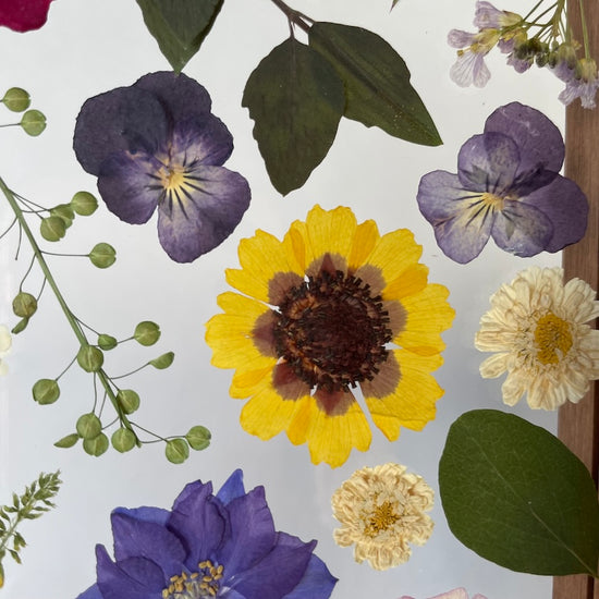 Colorful dream drops