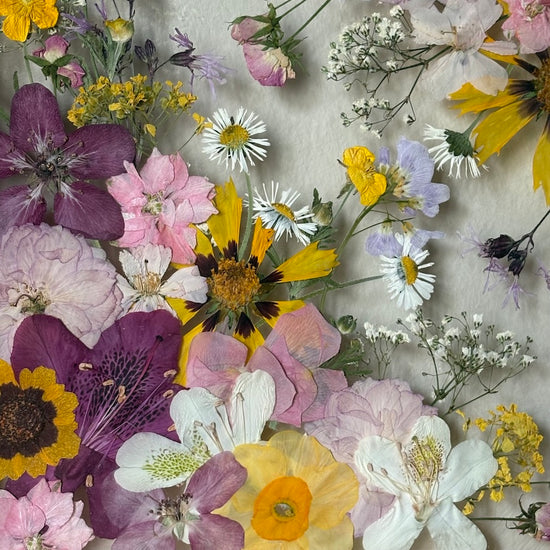 Spring party