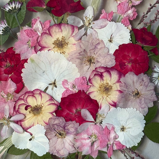 Spring party