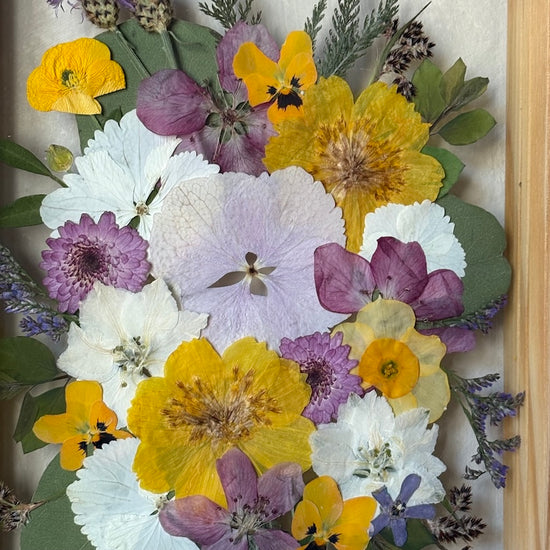 The warmth that blooms