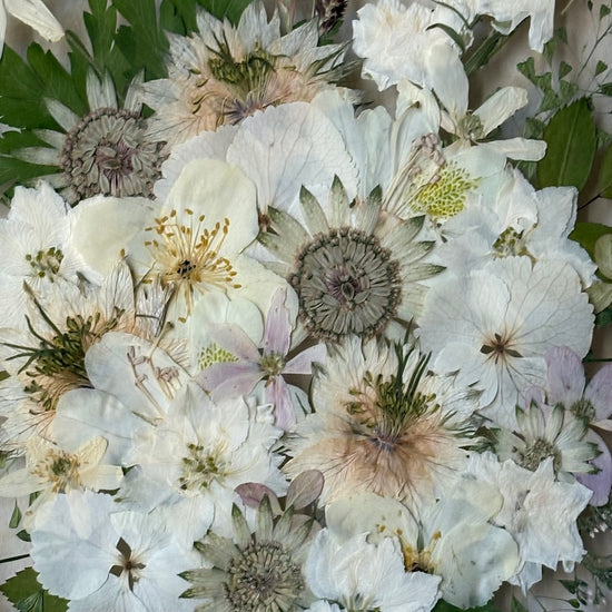 Spring party