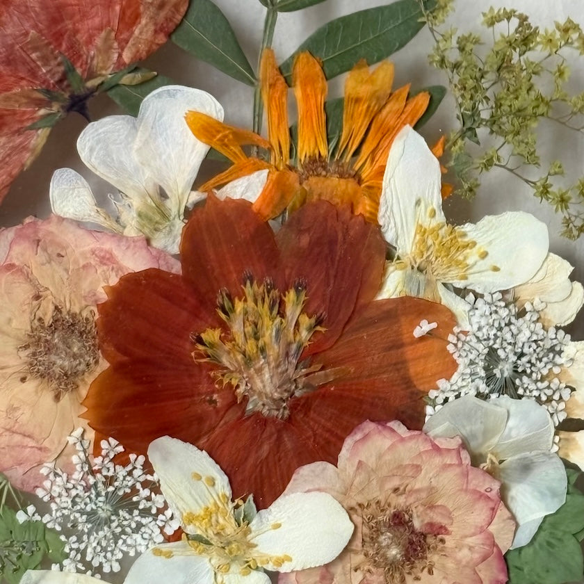 The Crown Rose