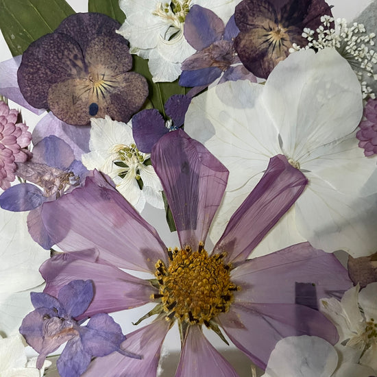 Snowstorms at Christmas time