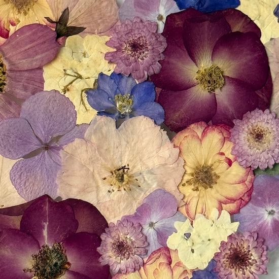 I want to be close to you.