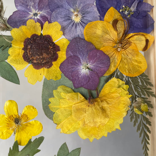 The delicacy of each flower