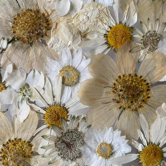 Fragile harmony