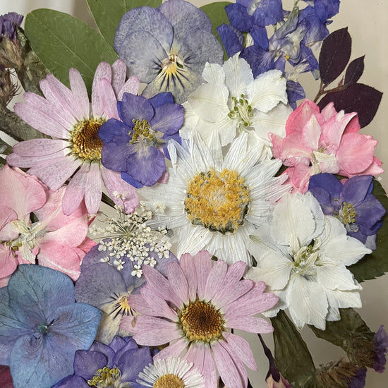 Tricolor symphony of flowers