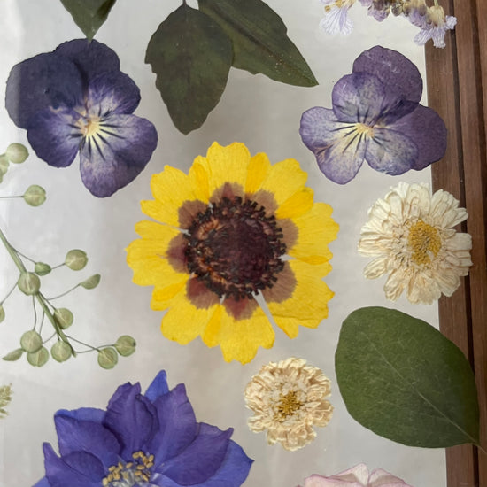 Colorful dream drops