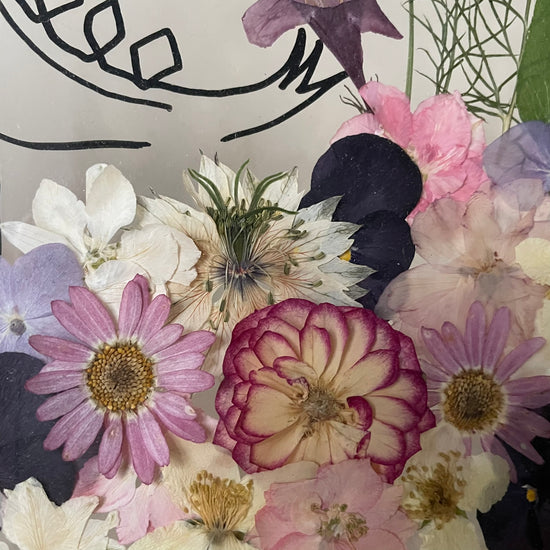 Floral prehistory