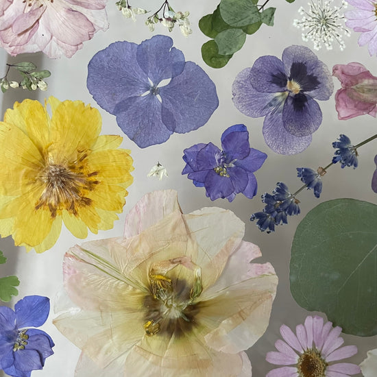 Floral fantasy
