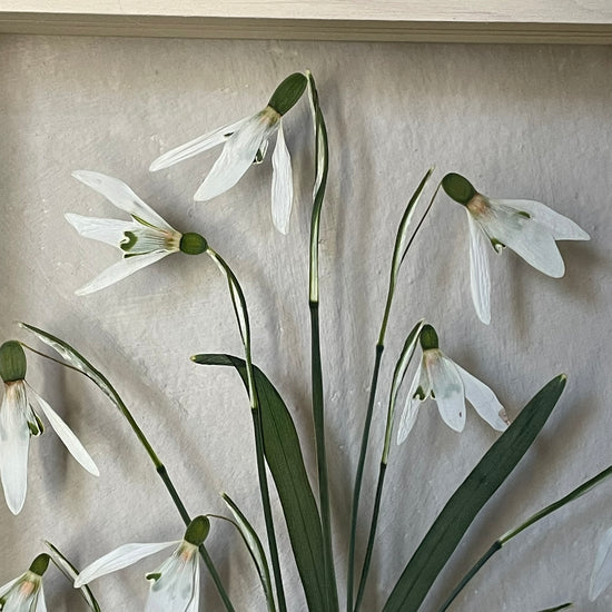 The scent of summer at grandma's