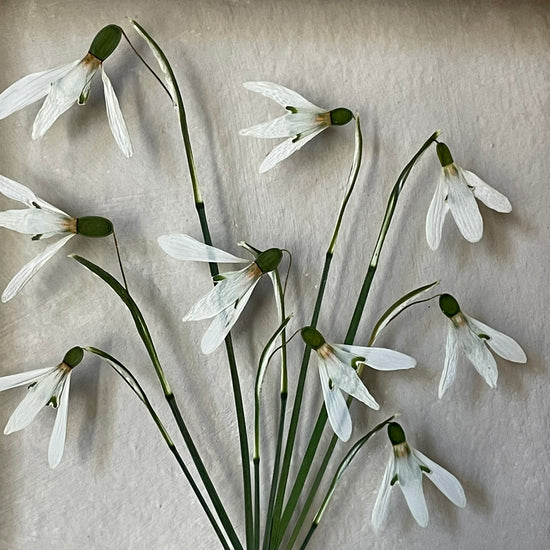 The scent of summer at grandma's