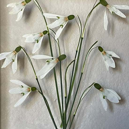 The scent of summer at grandma's