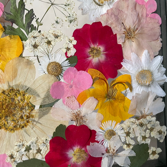 View of the rose garden