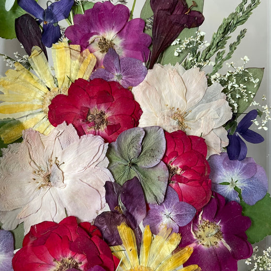 View of the rose garden