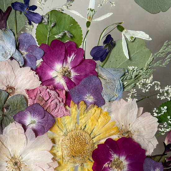 View of the rose garden