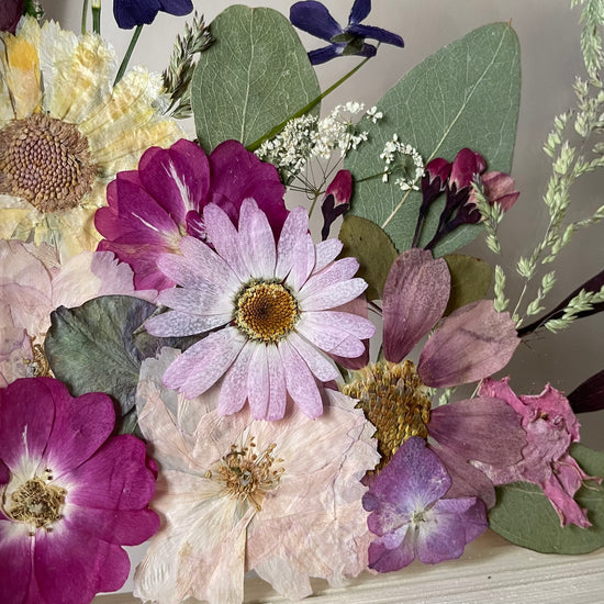 View of the rose garden