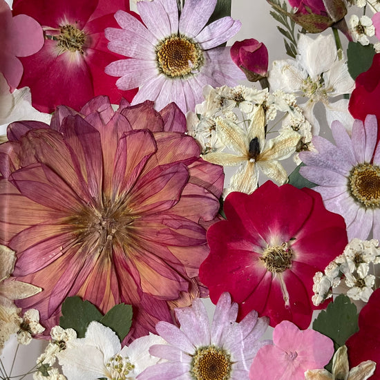 View of the rose garden