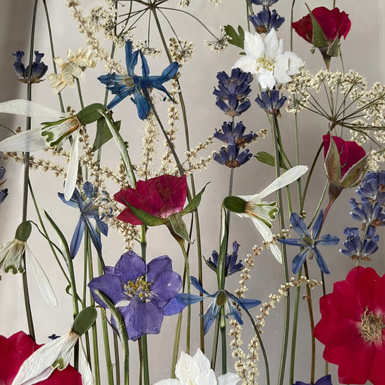 View of the rose garden