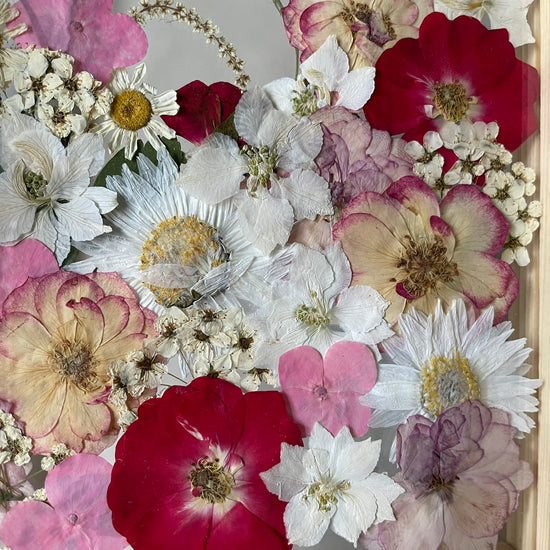 View of the rose garden