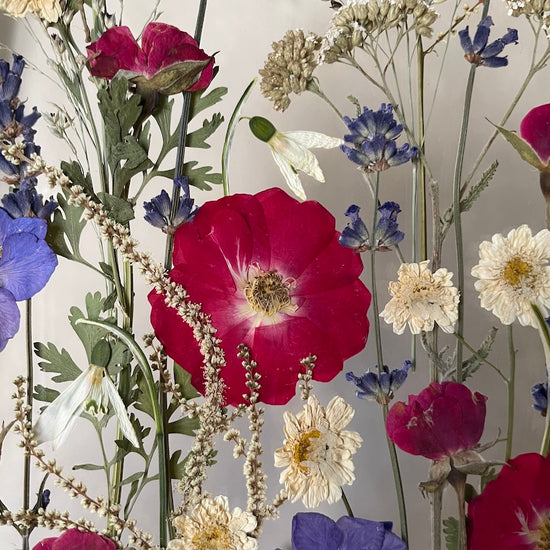 View of the rose garden