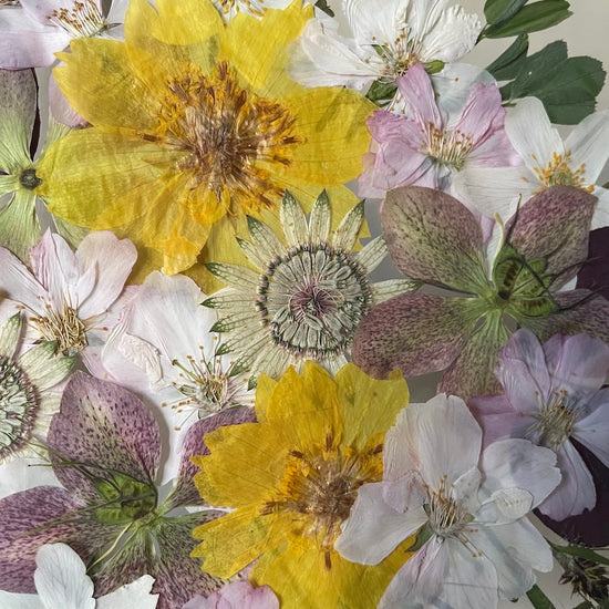 The silence of the magical garden