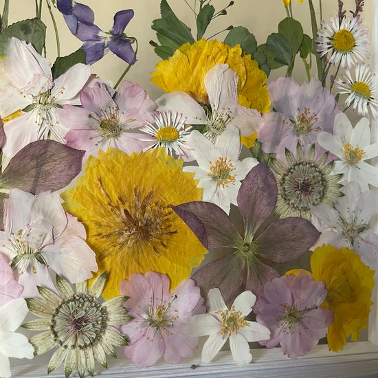 The silence of the magical garden