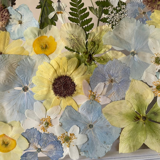 The silence of the magical garden