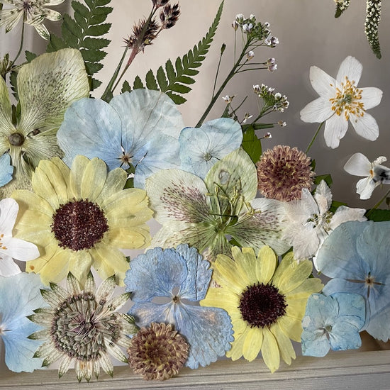 The silence of the magical garden