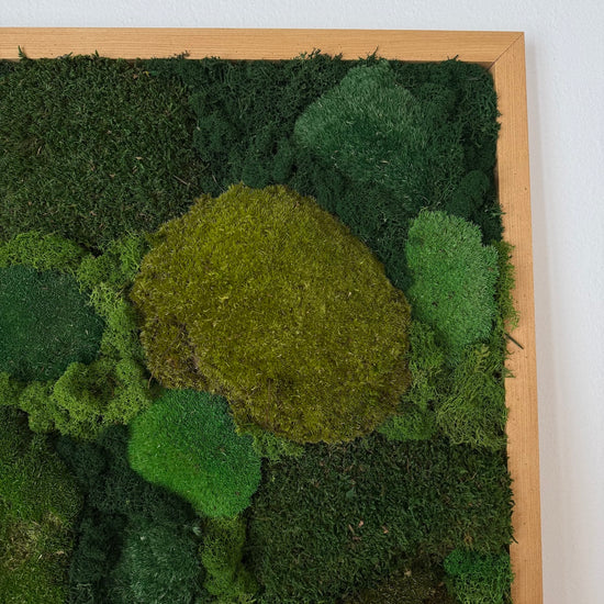 Mossy tree
