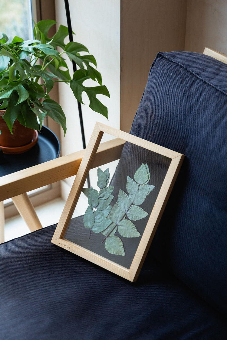 Eukalyptus