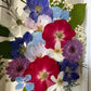 In the flower of tenderness