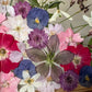 Spring party