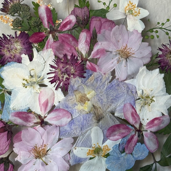 Tricolor symphony of flowers