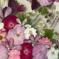 Spring party