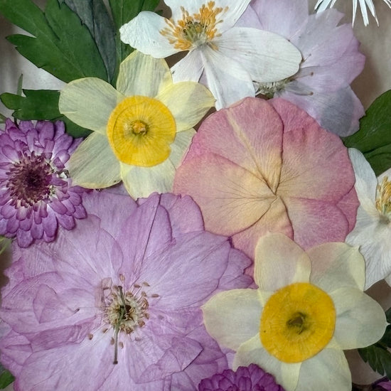 In the flower of tenderness