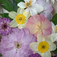 In the flower of tenderness