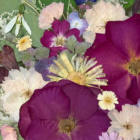 Behind the veil of a forgotten garden