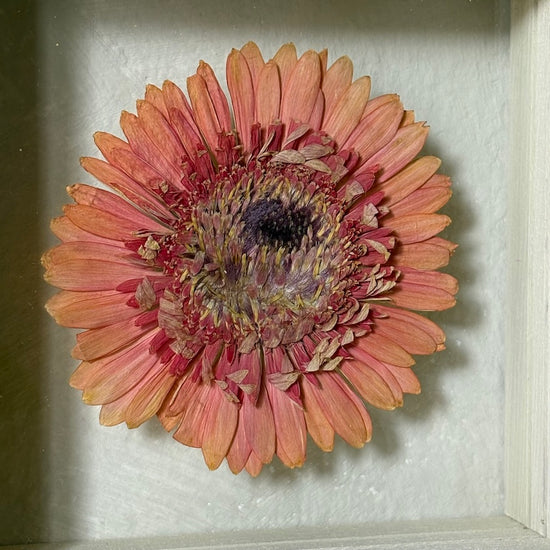 In the flower of tenderness