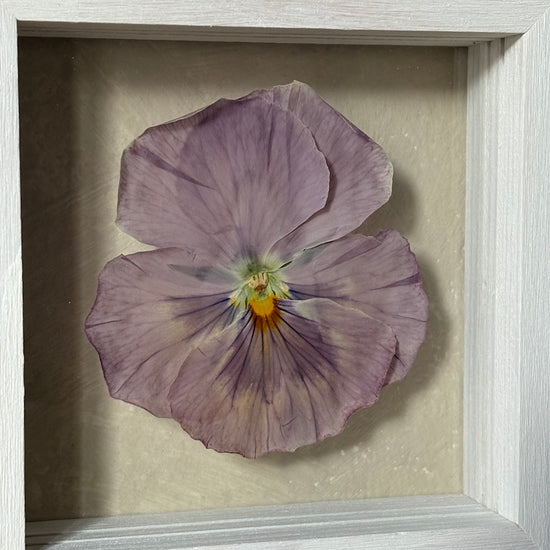 In the flower of tenderness