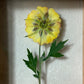 In the flower of tenderness