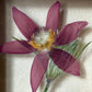 In the flower of tenderness